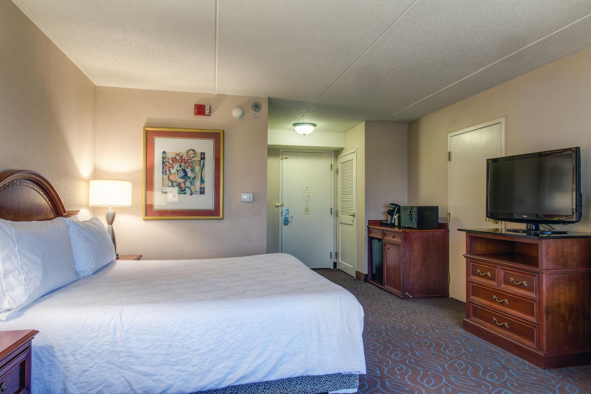 רומולוס Hilton Garden Inn Detroit Metro Airport מראה חיצוני תמונה