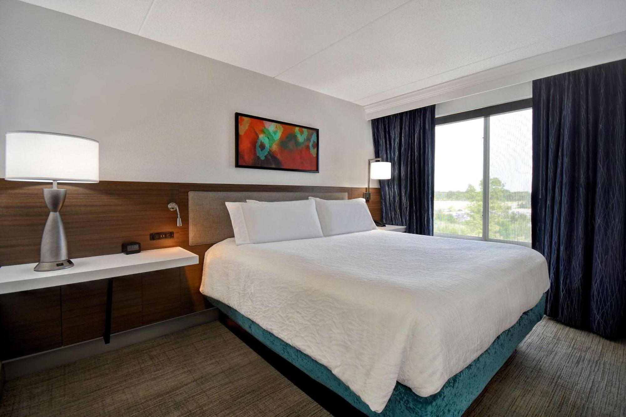רומולוס Hilton Garden Inn Detroit Metro Airport מראה חיצוני תמונה