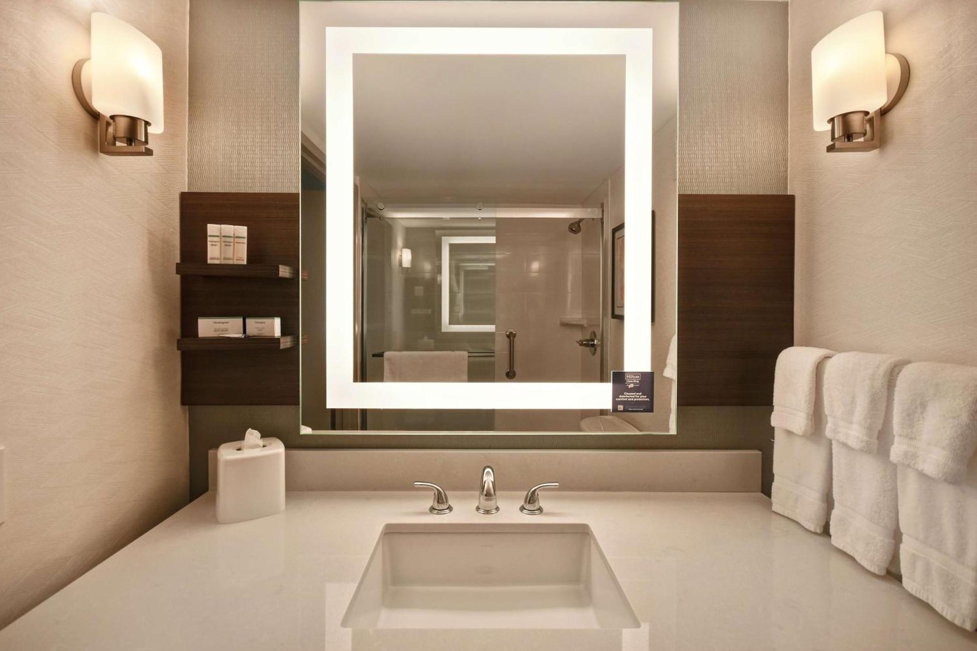רומולוס Hilton Garden Inn Detroit Metro Airport מראה חיצוני תמונה