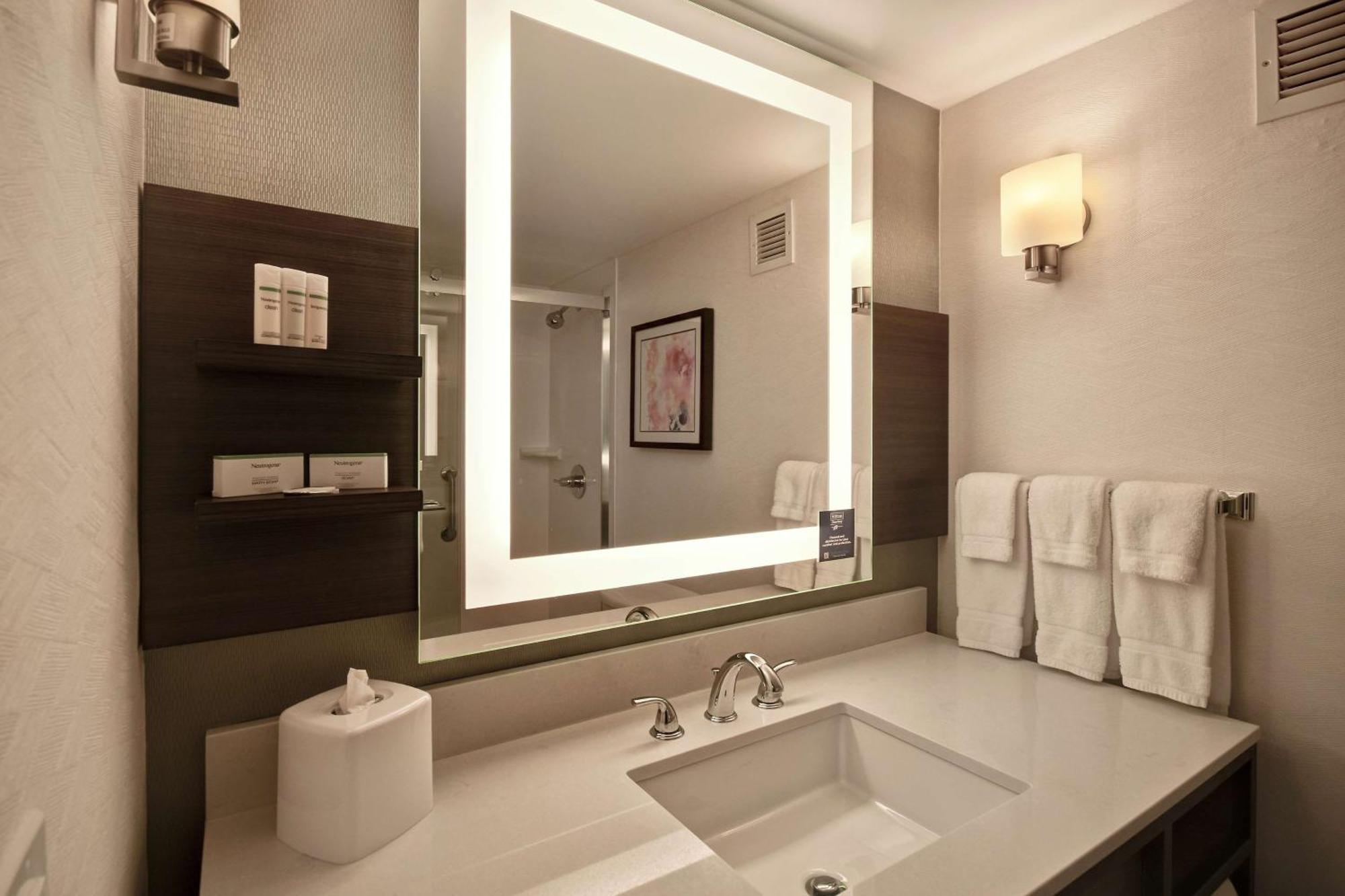 רומולוס Hilton Garden Inn Detroit Metro Airport מראה חיצוני תמונה