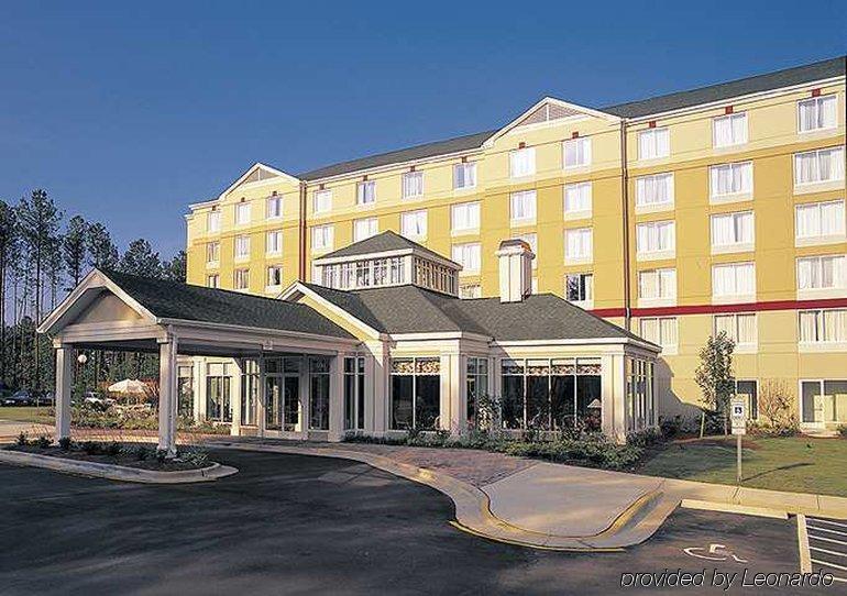 רומולוס Hilton Garden Inn Detroit Metro Airport מראה חיצוני תמונה