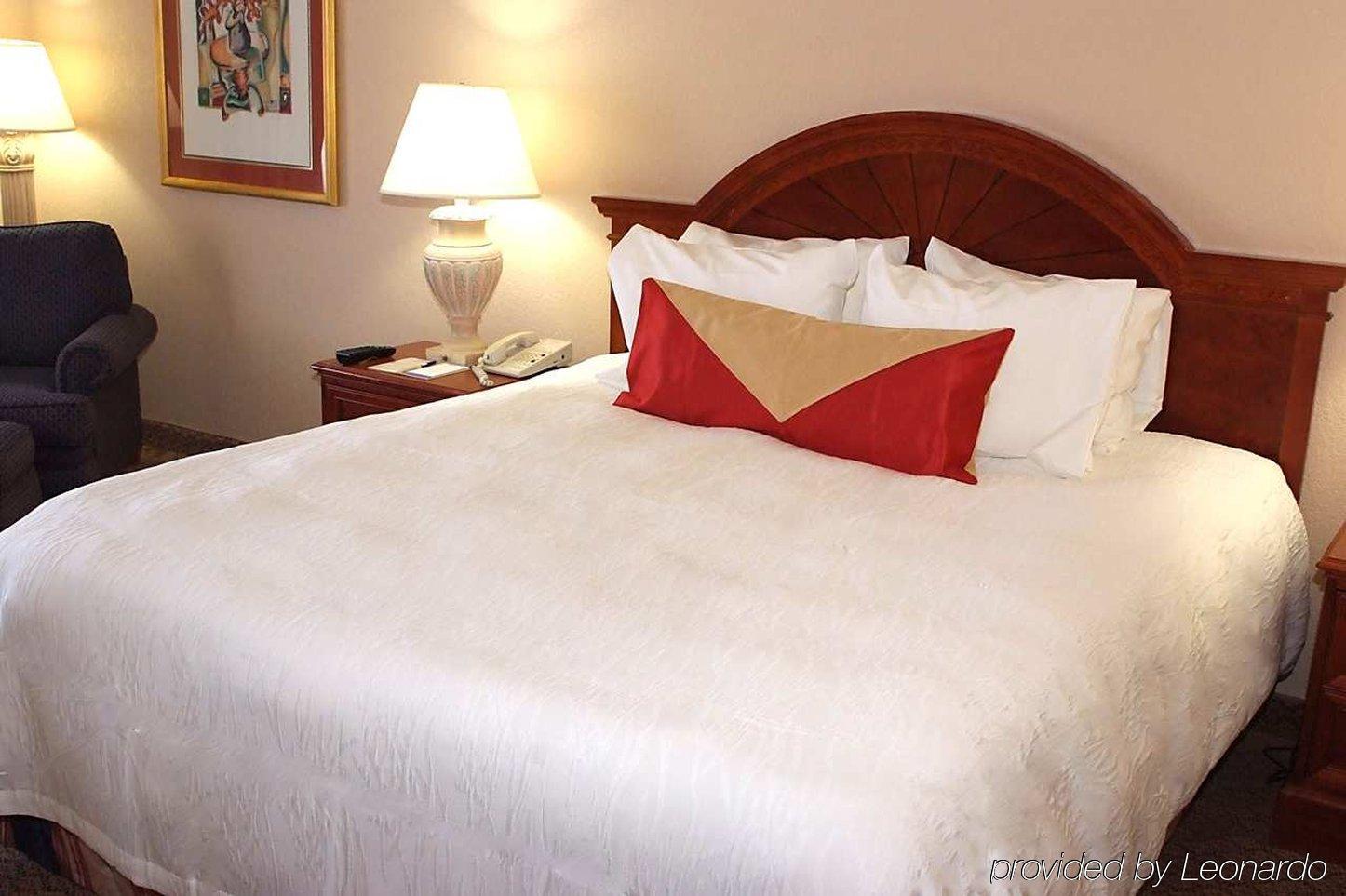 רומולוס Hilton Garden Inn Detroit Metro Airport חדר תמונה